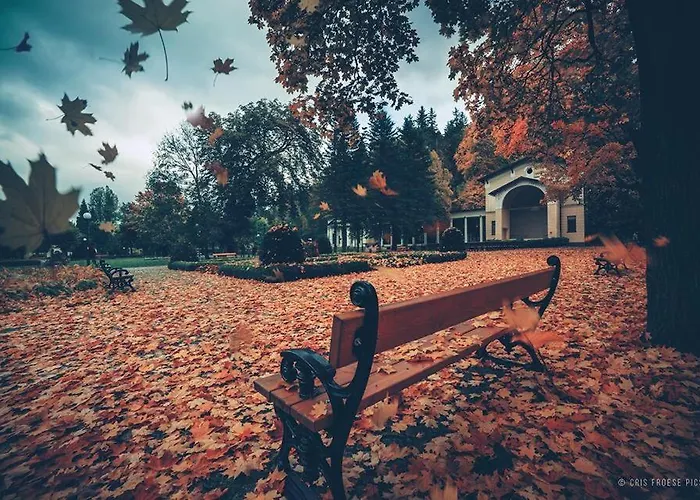 De Esperanto Sanatorium Uzdrowiskowe 3*